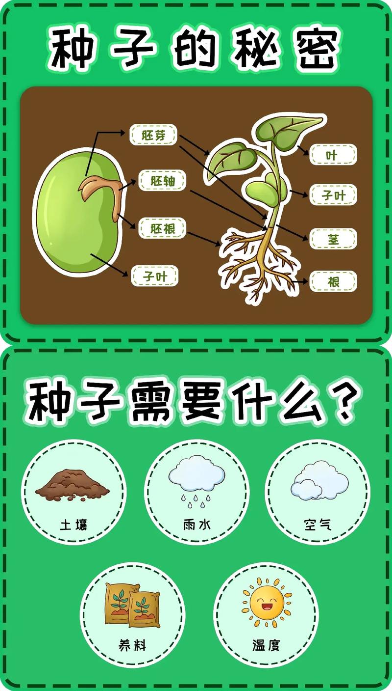 绿色未来，从种子开始_探索绿化种子网站的设计与创新 绿色未来，从种子开始_探索绿化种子网站的设计与创新 Web前端